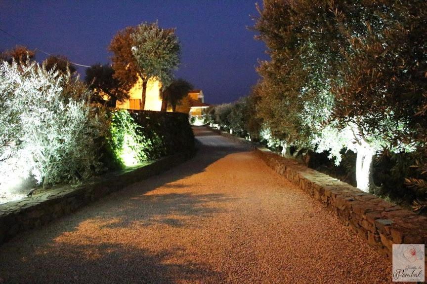 Quinta Do Pombal - Douro - Camila's Lamego